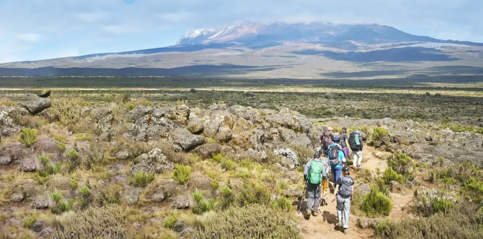 Climbing Kilimanjaro Via 8 Days Lemosho Route Scaled 1 990x490