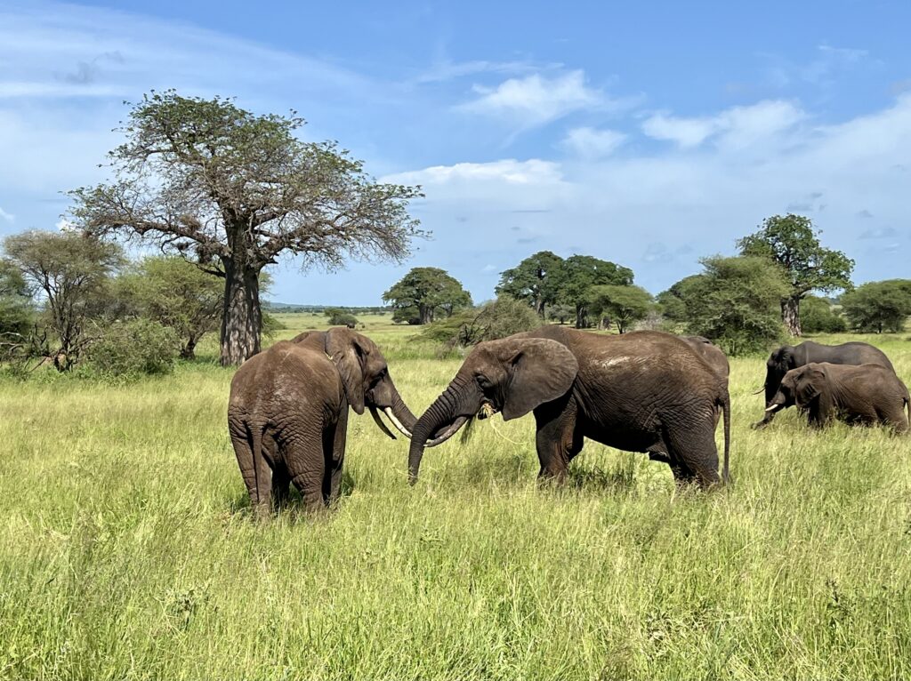 Home IMG 5130 1024x766