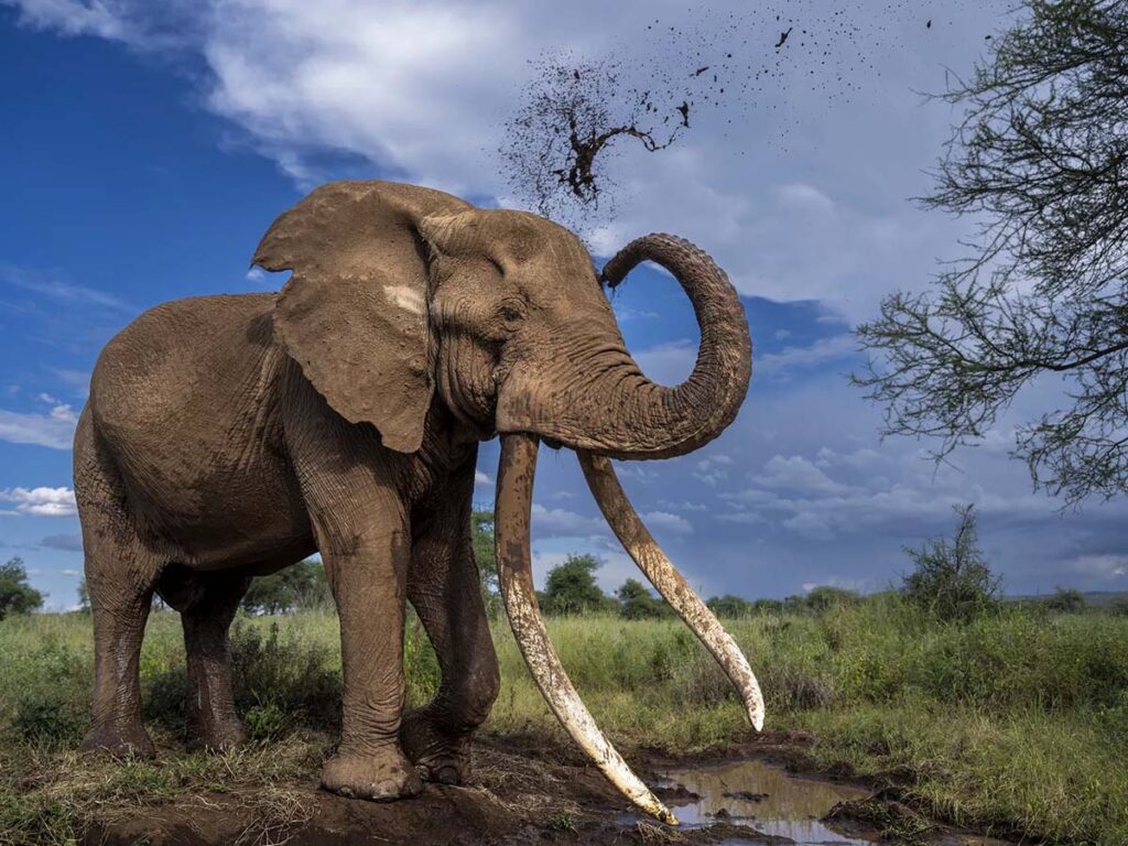 Home IMG 5131 1024x768