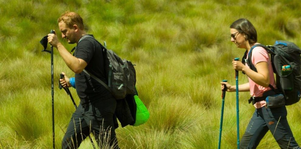 Machame Route Mount Kilimanjaro Climbing 990x490